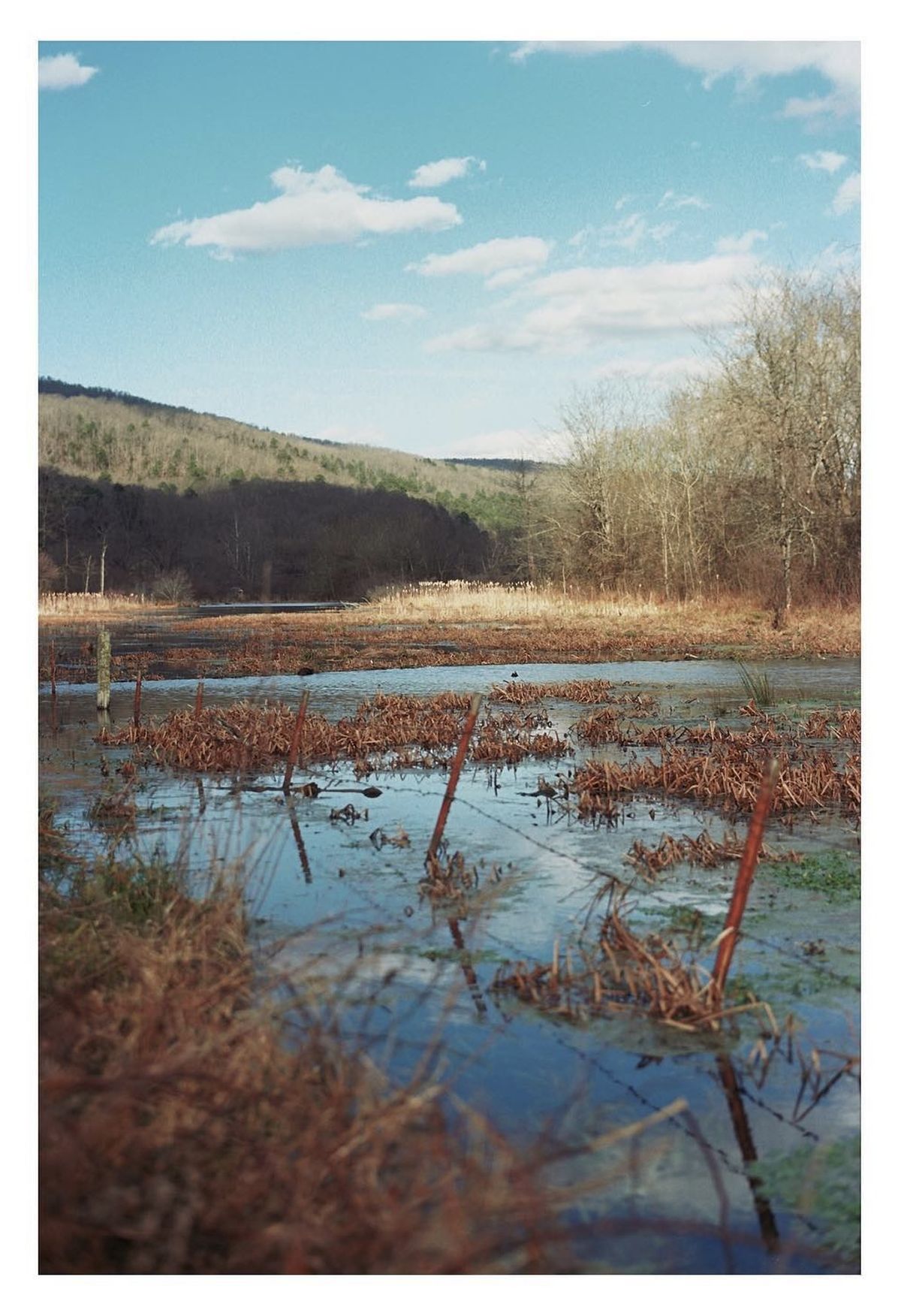 Valley of Dreams, Ponca, Arkansas — Ozark Mountains landscape