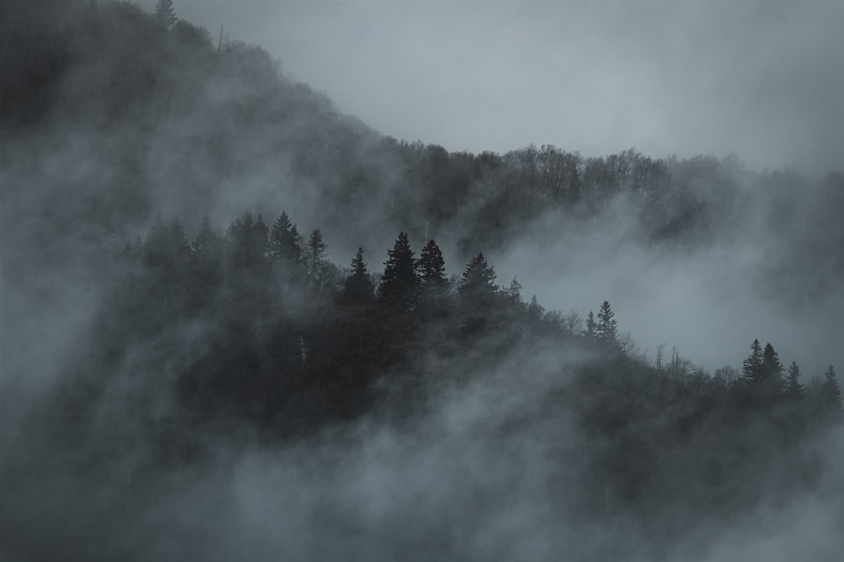 Great Smoky Mountains, Tennessee — fog over forested ridgeline